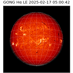 gong - 2025-02-17T05:00:42