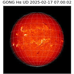 gong - 2025-02-17T07:00:02