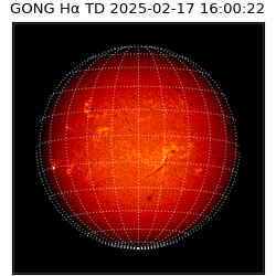 gong - 2025-02-17T16:00:22