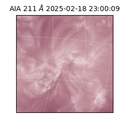 saia - 2025-02-18T23:00:09.625000
