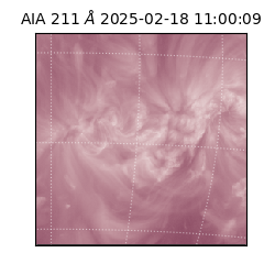saia - 2025-02-18T11:00:09.626000