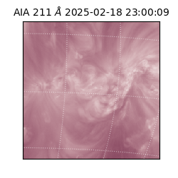 saia - 2025-02-18T23:00:09.625000