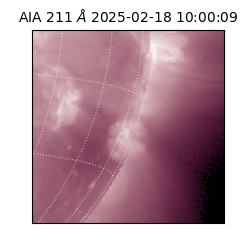 saia - 2025-02-18T10:00:09.626000