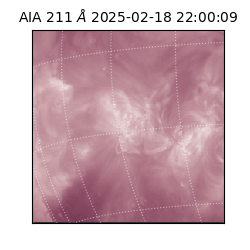 saia - 2025-02-18T22:00:09.625000