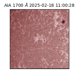 saia - 2025-02-18T11:00:28.717000