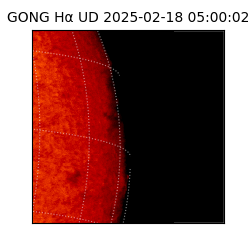 gong - 2025-02-18T05:00:02