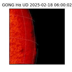gong - 2025-02-18T06:00:02