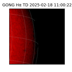 gong - 2025-02-18T11:00:22