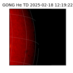gong - 2025-02-18T12:19:22