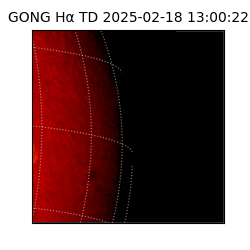 gong - 2025-02-18T13:00:22