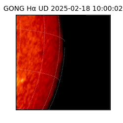 gong - 2025-02-18T10:00:02