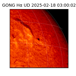 gong - 2025-02-18T03:00:02