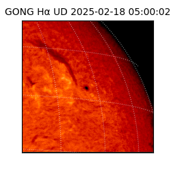 gong - 2025-02-18T05:00:02