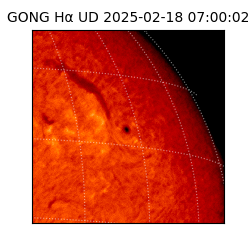gong - 2025-02-18T07:00:02