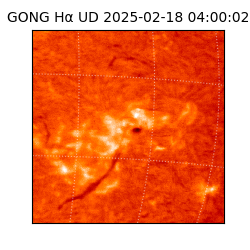 gong - 2025-02-18T04:00:02