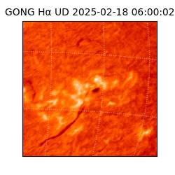 gong - 2025-02-18T06:00:02