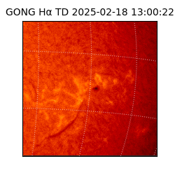 gong - 2025-02-18T13:00:22