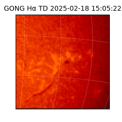 gong - 2025-02-18T15:05:22