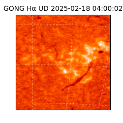 gong - 2025-02-18T04:00:02