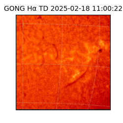 gong - 2025-02-18T11:00:22