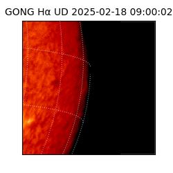 gong - 2025-02-18T09:00:02