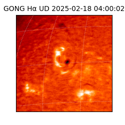 gong - 2025-02-18T04:00:02