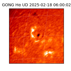 gong - 2025-02-18T06:00:02