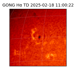 gong - 2025-02-18T11:00:22