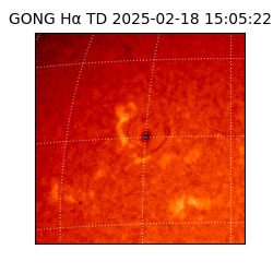 gong - 2025-02-18T15:05:22