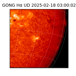 gong - 2025-02-18T03:00:02