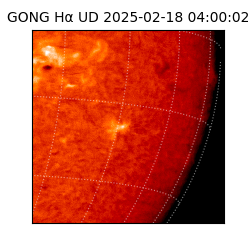 gong - 2025-02-18T04:00:02