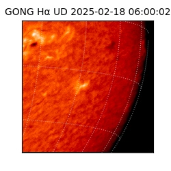 gong - 2025-02-18T06:00:02