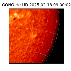 gong - 2025-02-18T09:00:02
