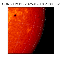 gong - 2025-02-18T21:00:02