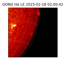 gong - 2025-02-18T02:00:42