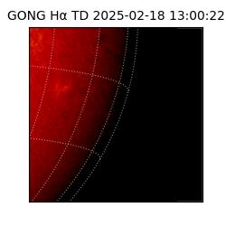 gong - 2025-02-18T13:00:22