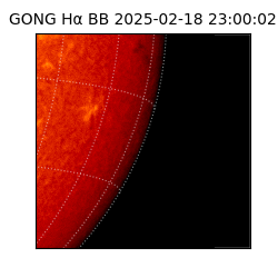gong - 2025-02-18T23:00:02
