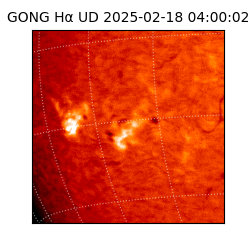 gong - 2025-02-18T04:00:02