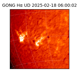 gong - 2025-02-18T06:00:02