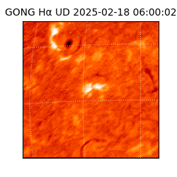 gong - 2025-02-18T06:00:02