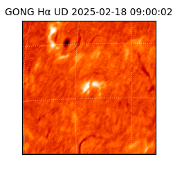 gong - 2025-02-18T09:00:02