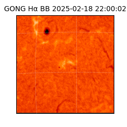 gong - 2025-02-18T22:00:02