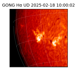 gong - 2025-02-18T10:00:02