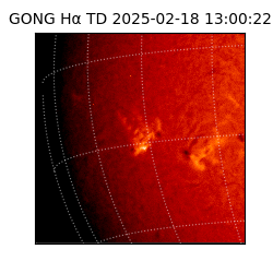 gong - 2025-02-18T13:00:22