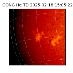gong - 2025-02-18T15:05:22