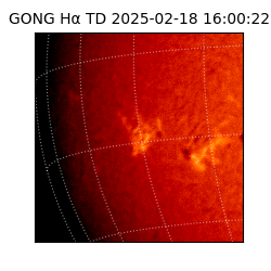 gong - 2025-02-18T16:00:22