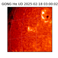 gong - 2025-02-18T03:00:02