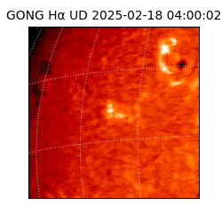 gong - 2025-02-18T04:00:02