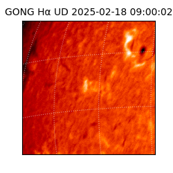 gong - 2025-02-18T09:00:02