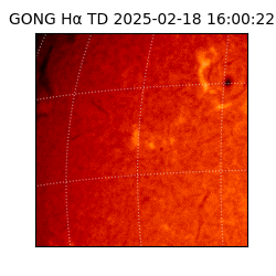 gong - 2025-02-18T16:00:22